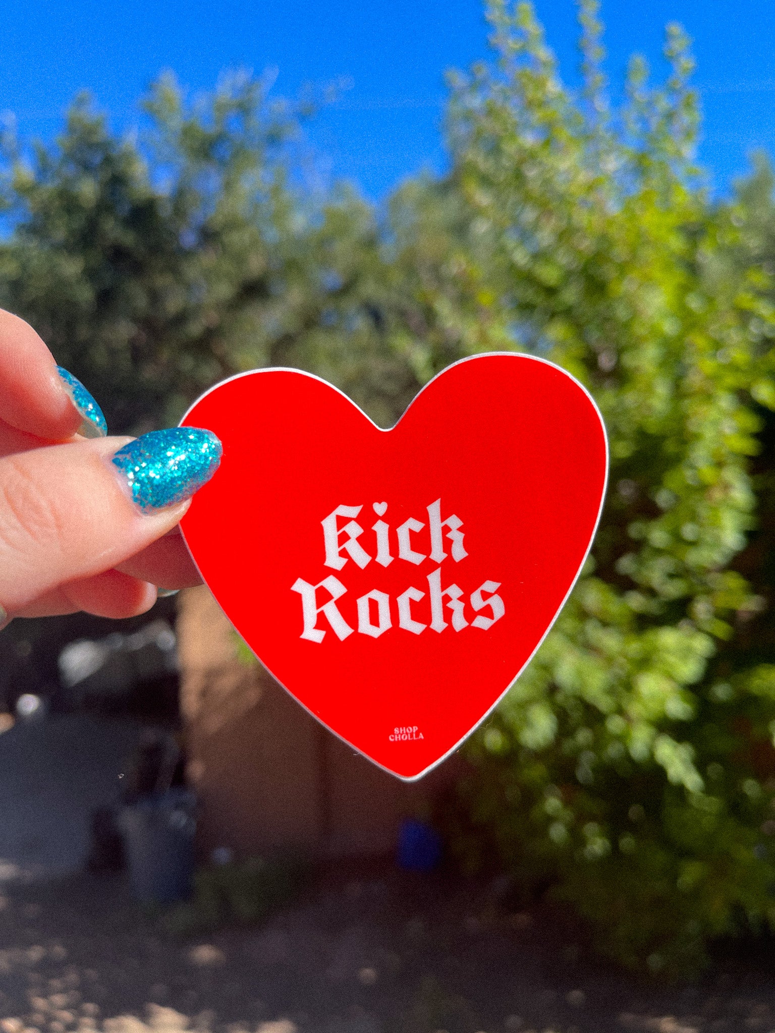 Kick Rocks Sticker – Shop Cholla