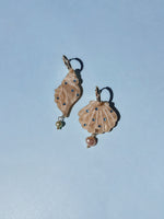 Bedazzled Shells