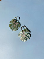 Monstera Leaves